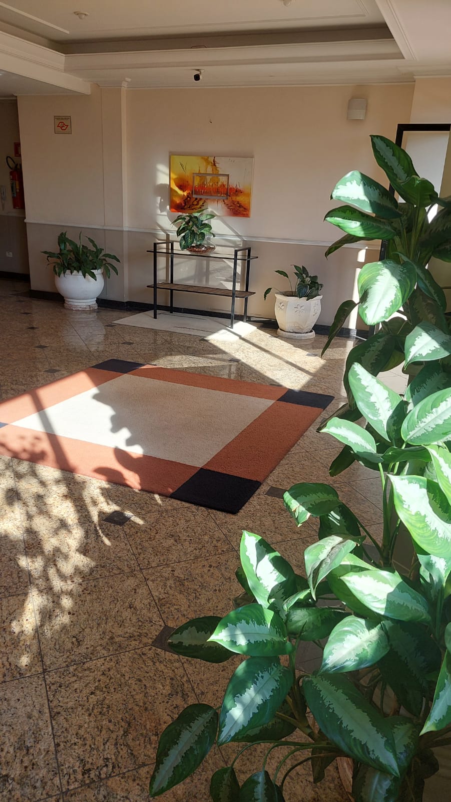 Apartamento -Bairro Santo Antonio-Vago